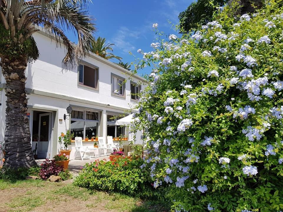 פונטה דל אסטה Hotel Puerto Las Palmas מראה חיצוני תמונה